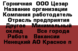 Горничная. ООО Цезар › Название организации ­ Компания-работодатель › Отрасль предприятия ­ Другое › Минимальный оклад ­ 1 - Все города Работа » Вакансии   . Ненецкий АО,Красное п.